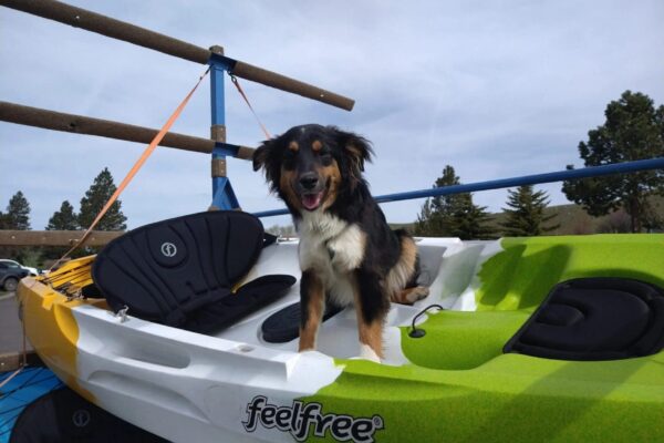 Glass-Bottom Kayak Tours & Rentals on Wallowa Lake | JO Paddle